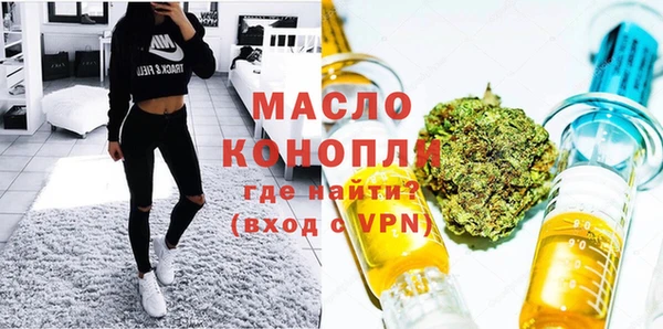 молекула духа Арсеньев