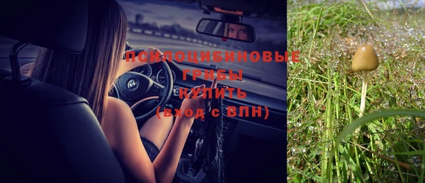 ГАЛЛЮЦИНОГЕННЫЕ ГРИБЫ Абдулино