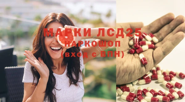 ГАЛЛЮЦИНОГЕННЫЕ ГРИБЫ Абдулино