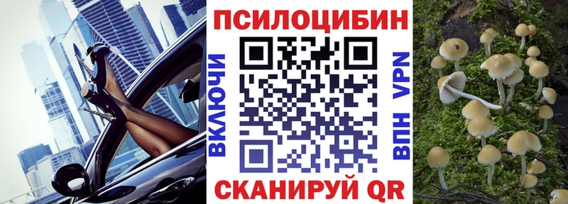 blacksprut как зайти Псков Псилоцибиновые грибы GOLDEN TEACHER магазин