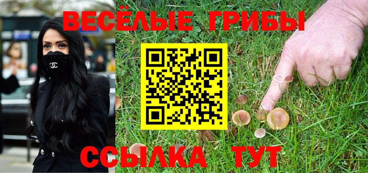 Псков  Псилоцибиновые грибы прущие грибы  Вход с VPN 