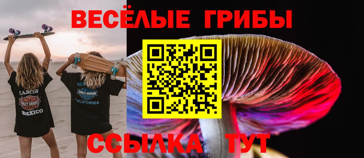 Галлюциногенные грибы GOLDEN TEACHER Псков