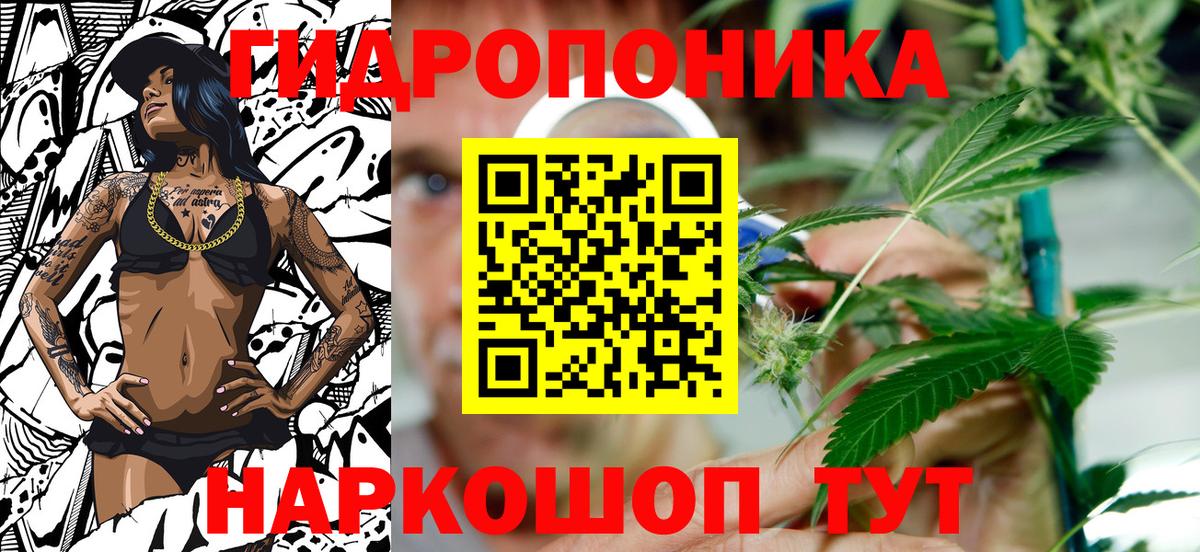 МАРИХУАНА сатива Псков